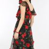 Celine Red Rose Midi - Image 2