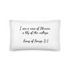 Song Of Songs Pillow - Image 2