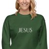Jesus Name Above All Names Unisex Premium Sweatshirt - Image 28
