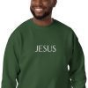 Jesus Name Above All Names Unisex Premium Sweatshirt - Image 24