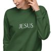 Jesus Name Above All Names Unisex Premium Sweatshirt - Image 27