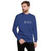 Jesus Name Above All Names Unisex Premium Sweatshirt - Image 44