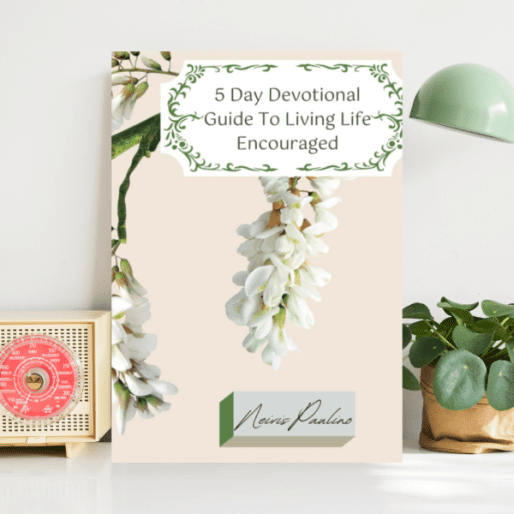 5 day Devotional Guide To Living Life Encouraged - Neivis Paulino