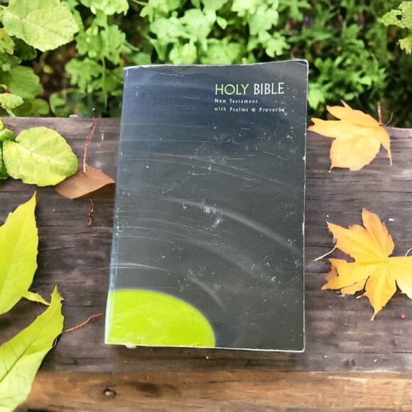 Gently Used Holy Bible Paperback: New Testament with Psalms and Proverbs