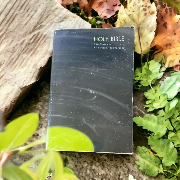 Gently Used Holy Bible Paperback: New Testament with Psalms and Proverbs