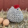 Betsy, the Beloved Barred Rock - Image 2