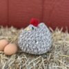Betsy, the Beloved Barred Rock - Image 3