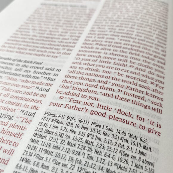 A ESV Wide Margin by Crossway Publishing Inside Pages. It has been personalized and customized with first and last name. It is hand lettered with calligraphy and makes a beautiful Christian gift, Gods Word, Scripture, 9781433544163