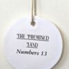 Grapes From the Promised Land Jesse Tree Ornament - Image 3