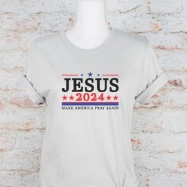 Jesus 2024 Make America Pray Softstyle Graphic