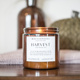 Discover the Harvest Candle, a fall favorite with scents of apple, cinnamon, clove, and nutmeg. This Christian candle, paired with Galatians 6:9, is perfect for cozy autumn days, Bible verse gifts, and fall decor. Made with clean coconut wax for a long-lasting burn.