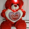 Teddy Bear Music Light-Up Stuffed Toy - 12 Inch - Image 3
