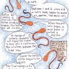 Online Classroom, Equine Sciences and Stewardship of the Horse, Unit 2 - The Reproductive System - Image 3