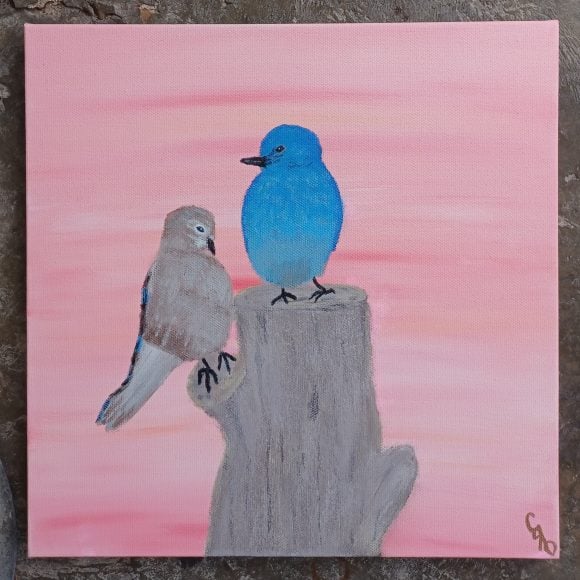 Bluebirds: The Newlywed Phase