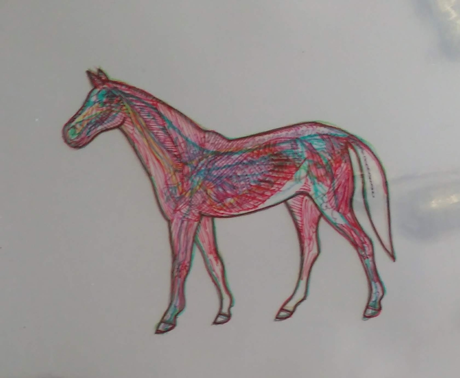 Students Equine Curriculum