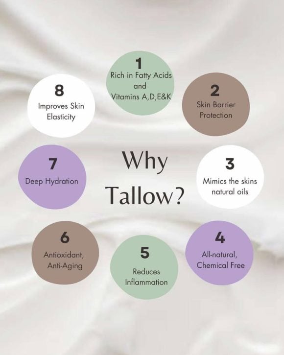 100% Grass-Fed Tallow Chapstick - Image 2