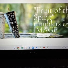 Fruit of the Spirit Virtues 20 oz. Stainless Steel Tumblers