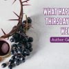Thursday of Holy Week - Easter - Galilee Life Devotional Blog - Easter - Resurrection